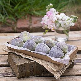 《SD高达 激斗同盟》付费DLC第二波发布 售价88元